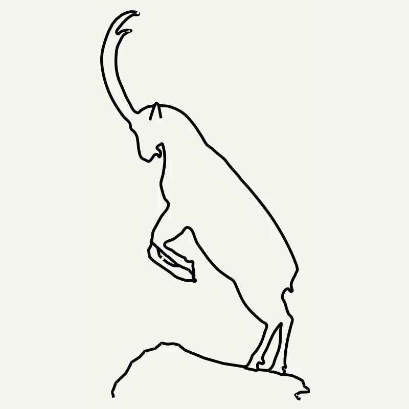 Capricorn