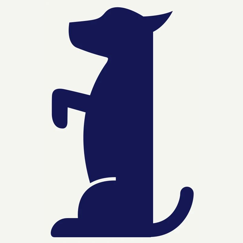 Small dog