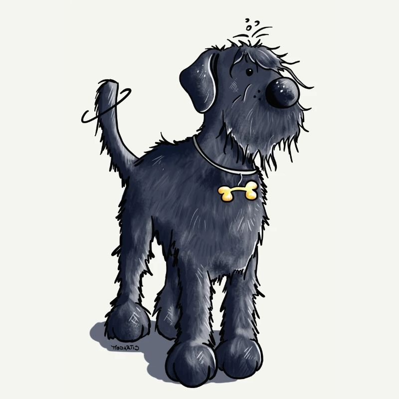 Niedlicher Schnauzer