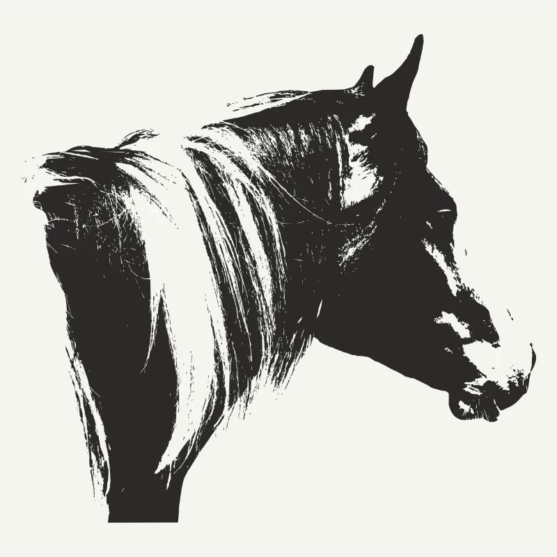 Lewitzer Schecke, Pferd Schecke, Pinto