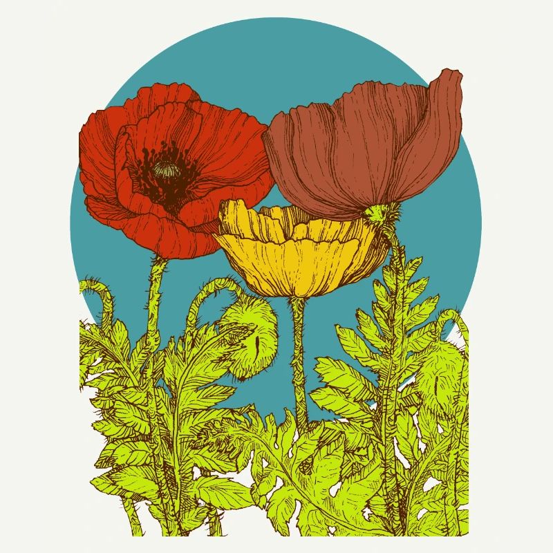 Mohnblumen