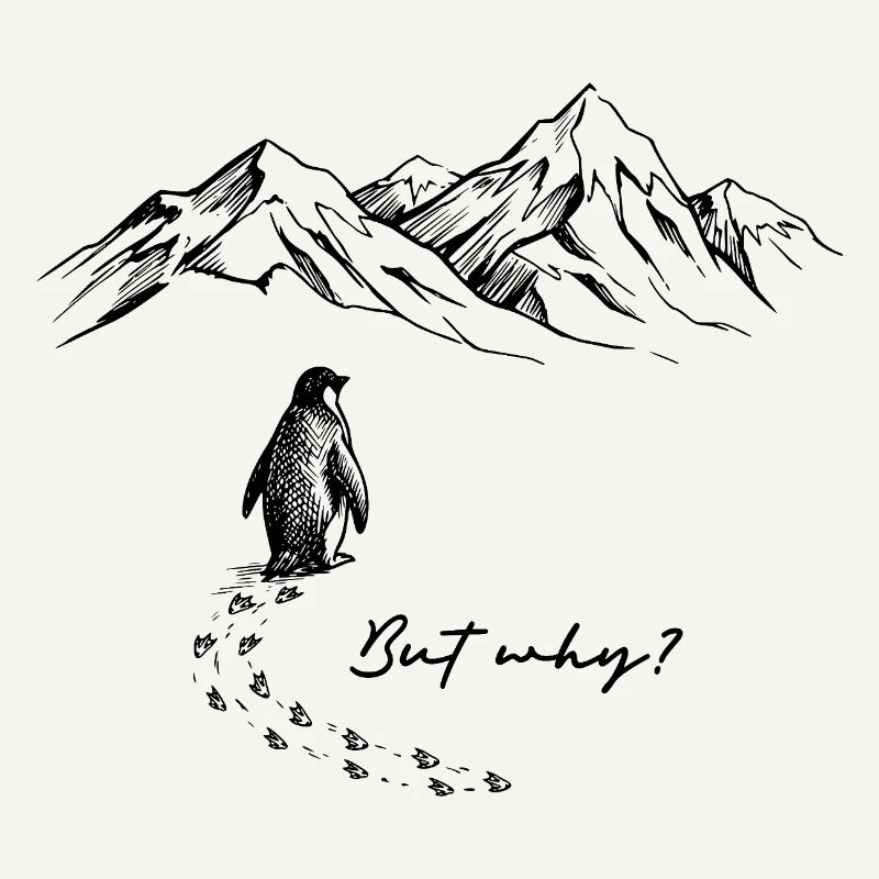 But why? Pinguin Meme Antarktis Schnee Spuren Eis