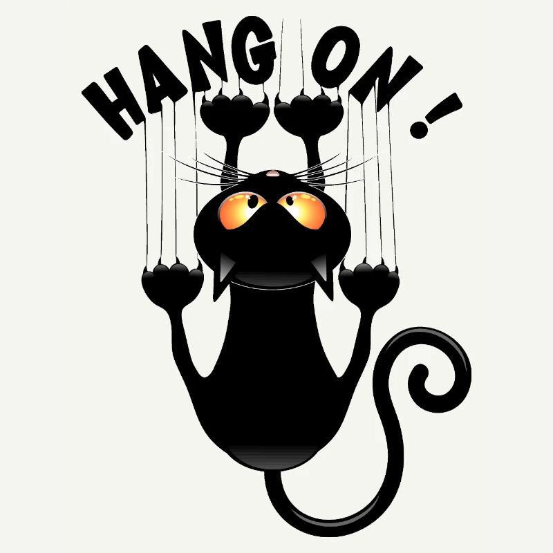 "HANG ON !" Funny Cat Meme Hanging on