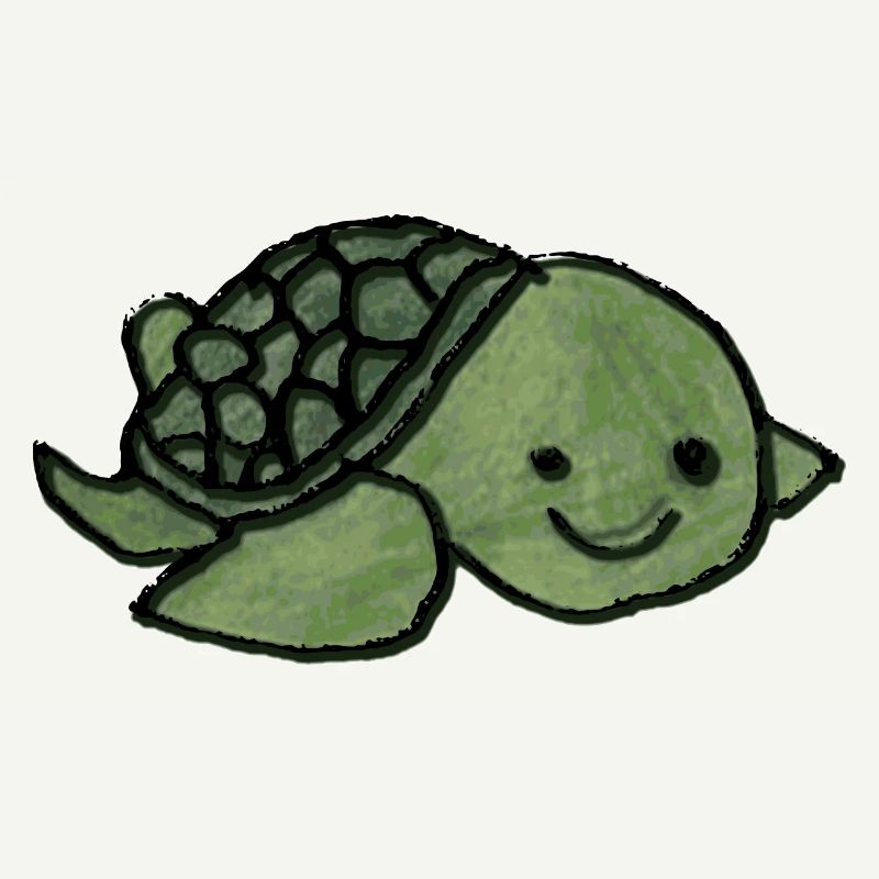 Turtle Children's Drawing