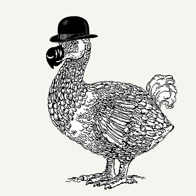 Dodo avec chapeau