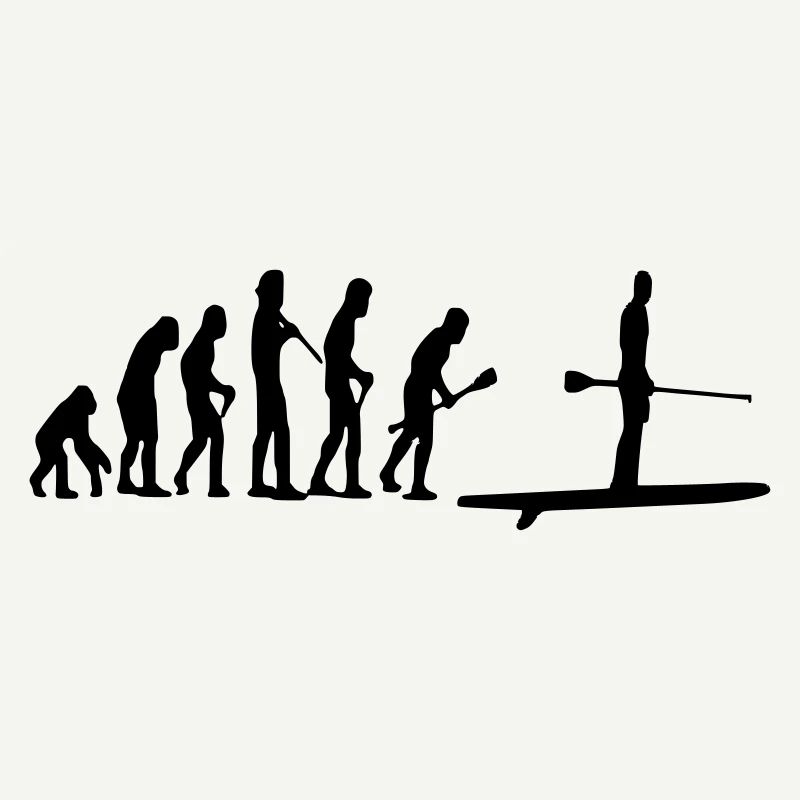 Paddle Evolution