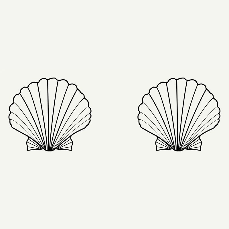 Shell Bra