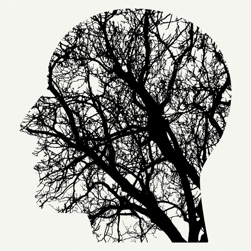 Tree Head