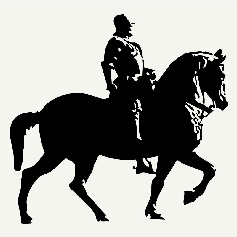 cheval et le cavalier