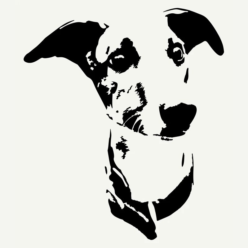 Whippet Kopf