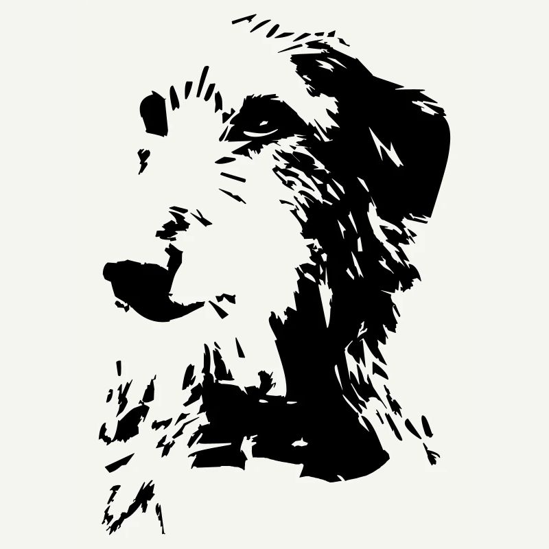 Scottish Deerhound Kopf