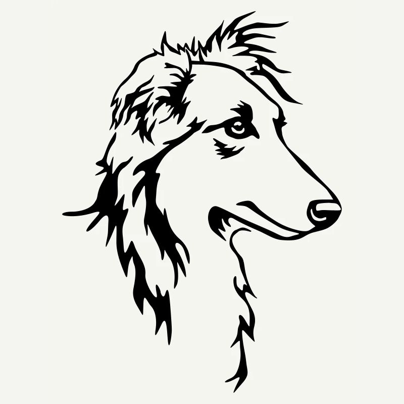 Langhaar Whippet Kopf