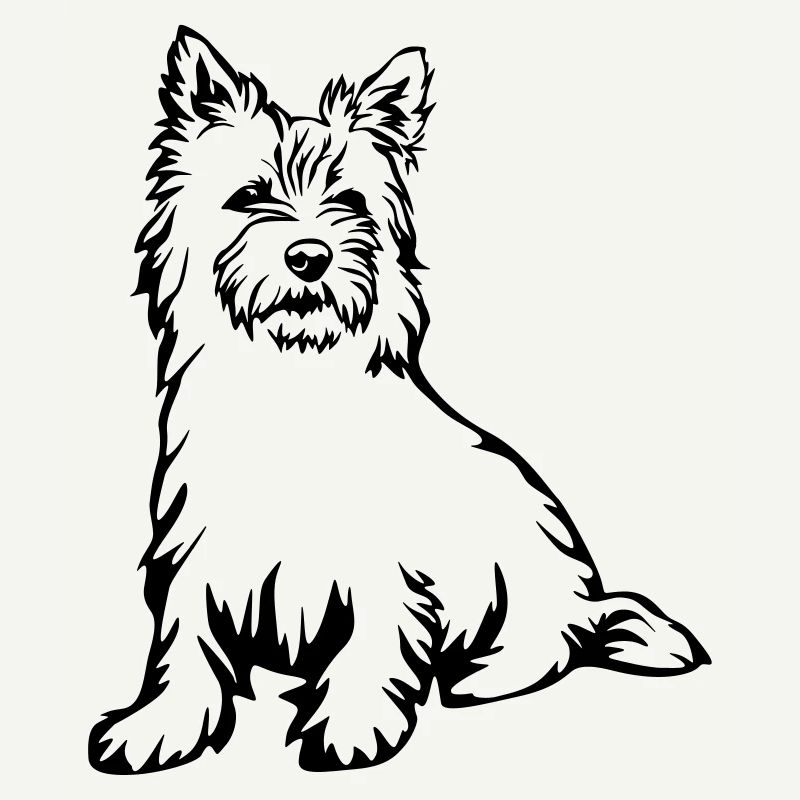 Cairn Terrier