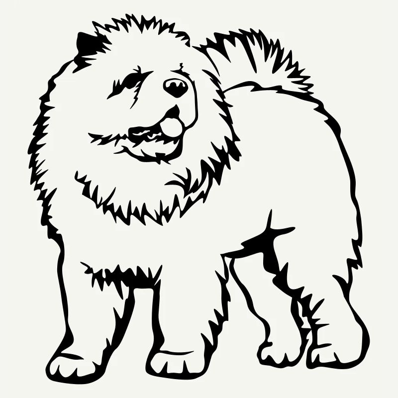 Chow Chow