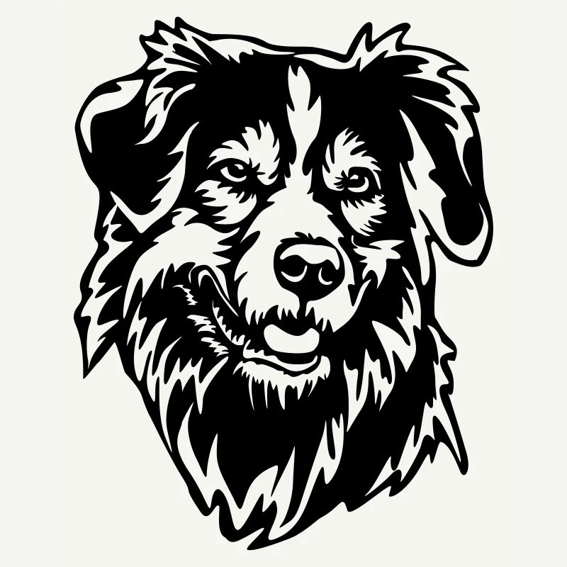 Tête de Shepherd australien