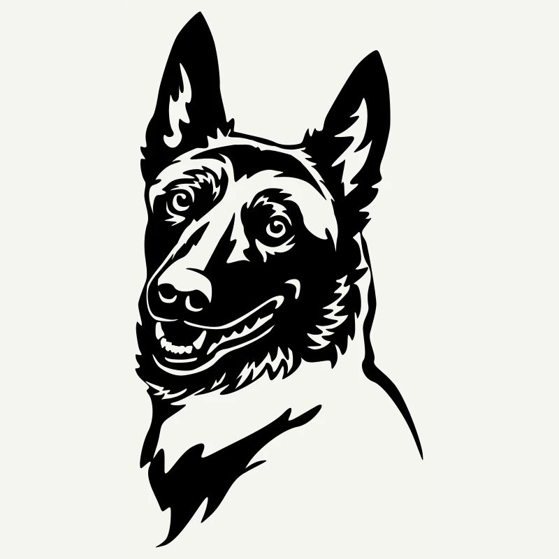 Malinois Kopf