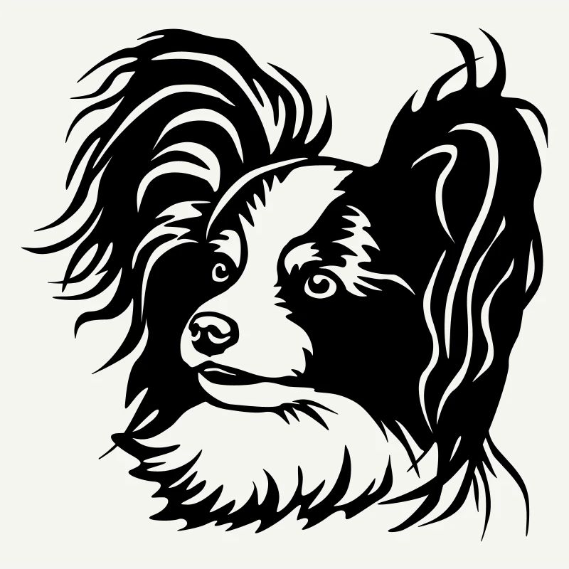 Tête de papillon