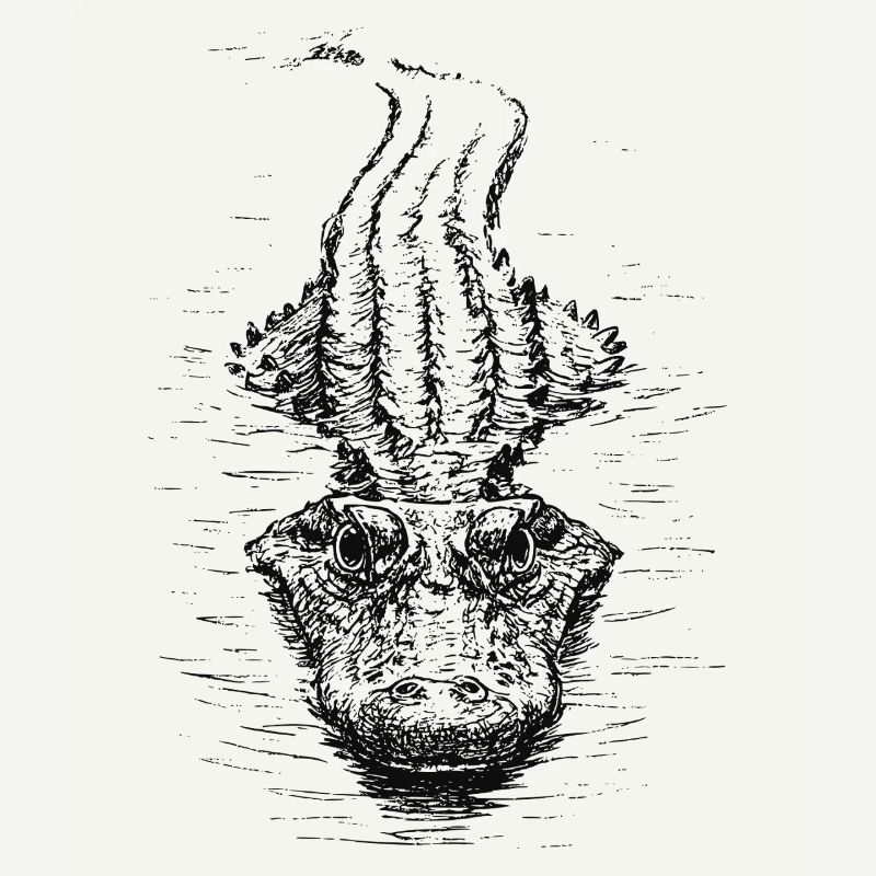 Floating Croc