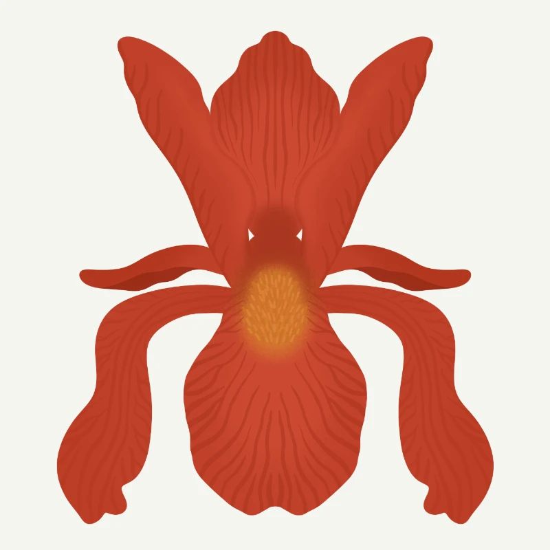Crimson Iris Flame