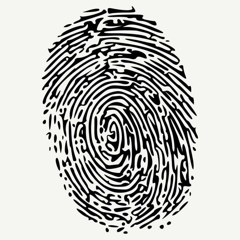 fingerprint