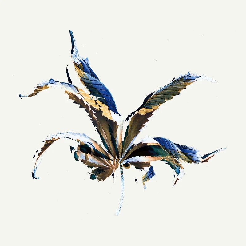 Leaf layers