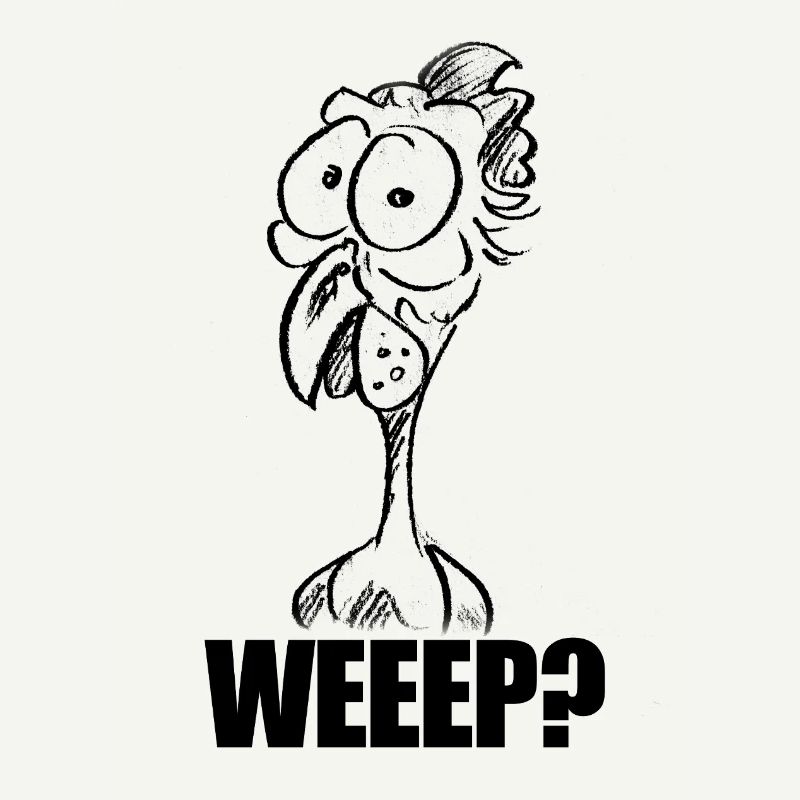 WEEEP? Baffled Chicken Head – Humor