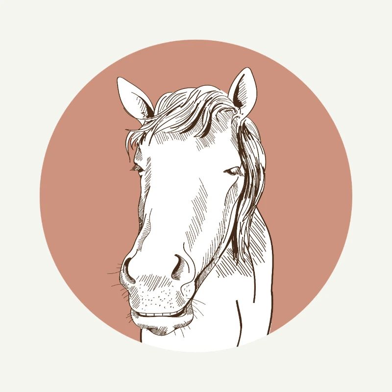 Pferd