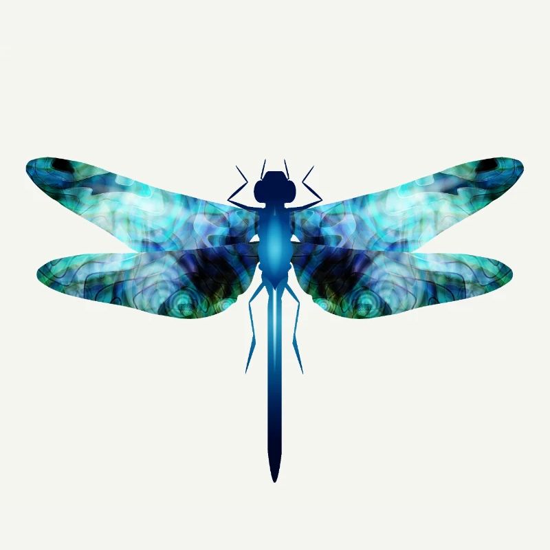 Libellule irisée dans les tons bleu-vert