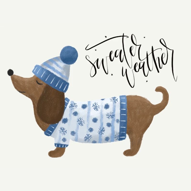 Teckel avec pull et chapeau Pull Météo bleu