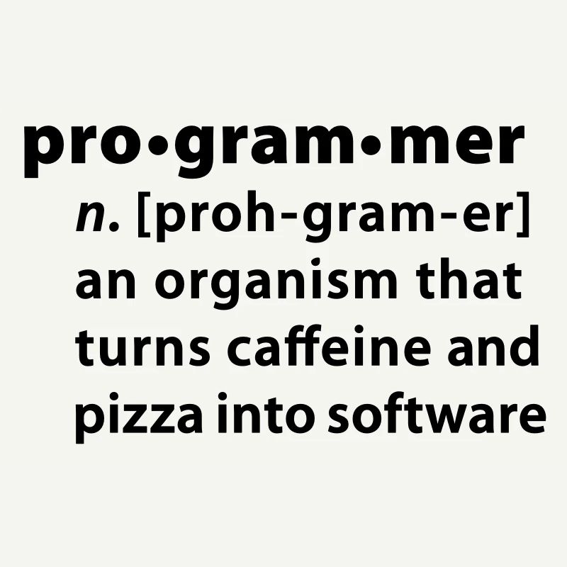 Programmer Wörterbuchdefinition