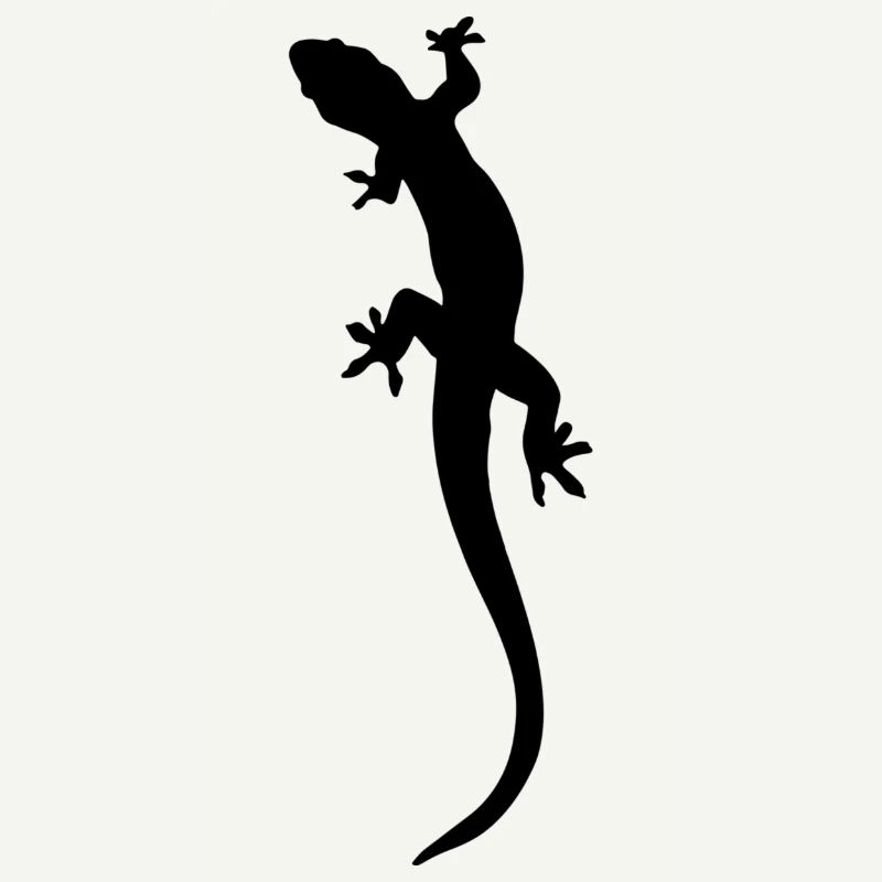 lizard
