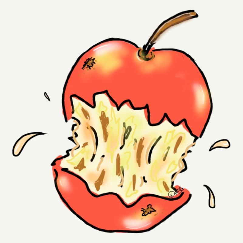 Red apple bitten illustration