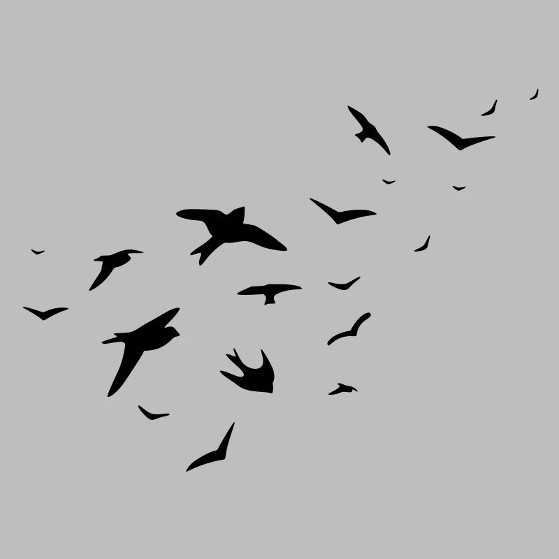 birds
