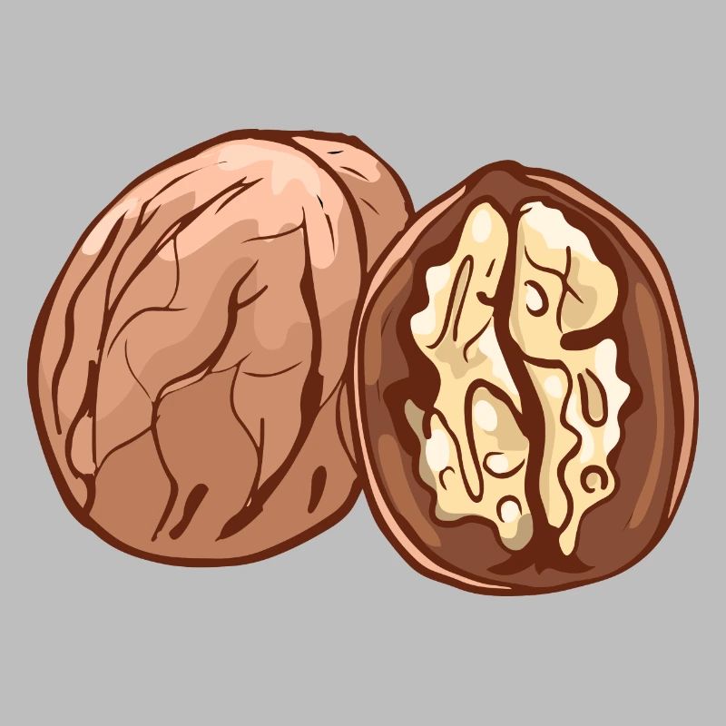 Real walnut nuts nut walnutwalnuts