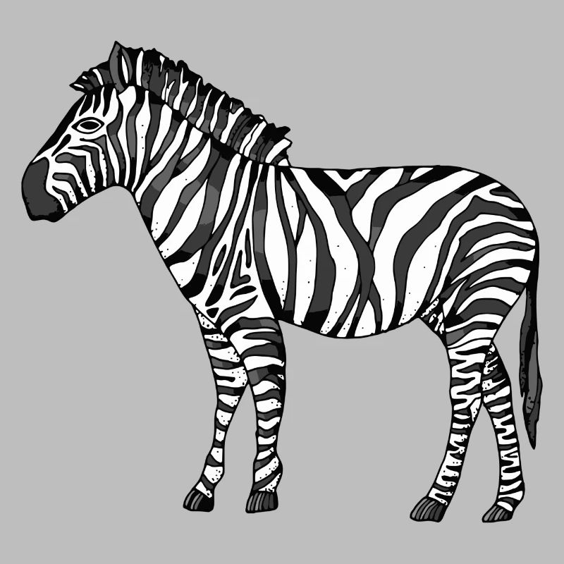 zebra