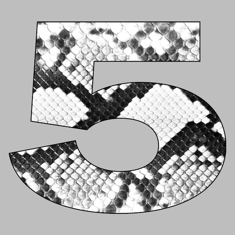 Snake Pattern Number 5