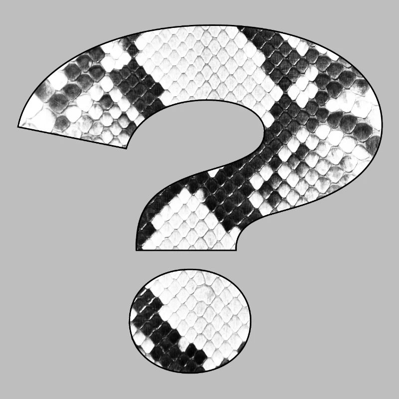 Conception de point d’interrogation de motif de peau de serpent