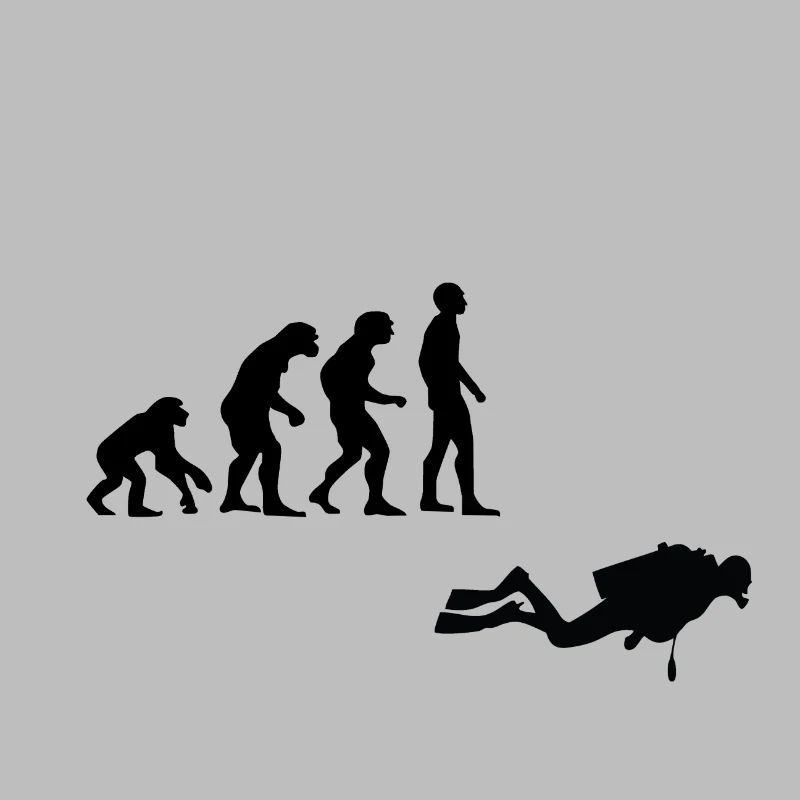Evolution Tauchen