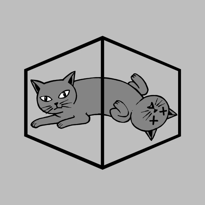 Le chat de Schrödinger
