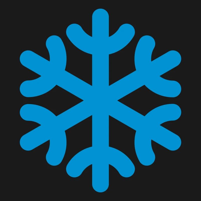 snowflake / fiocco di neve / flocon de neig / copo