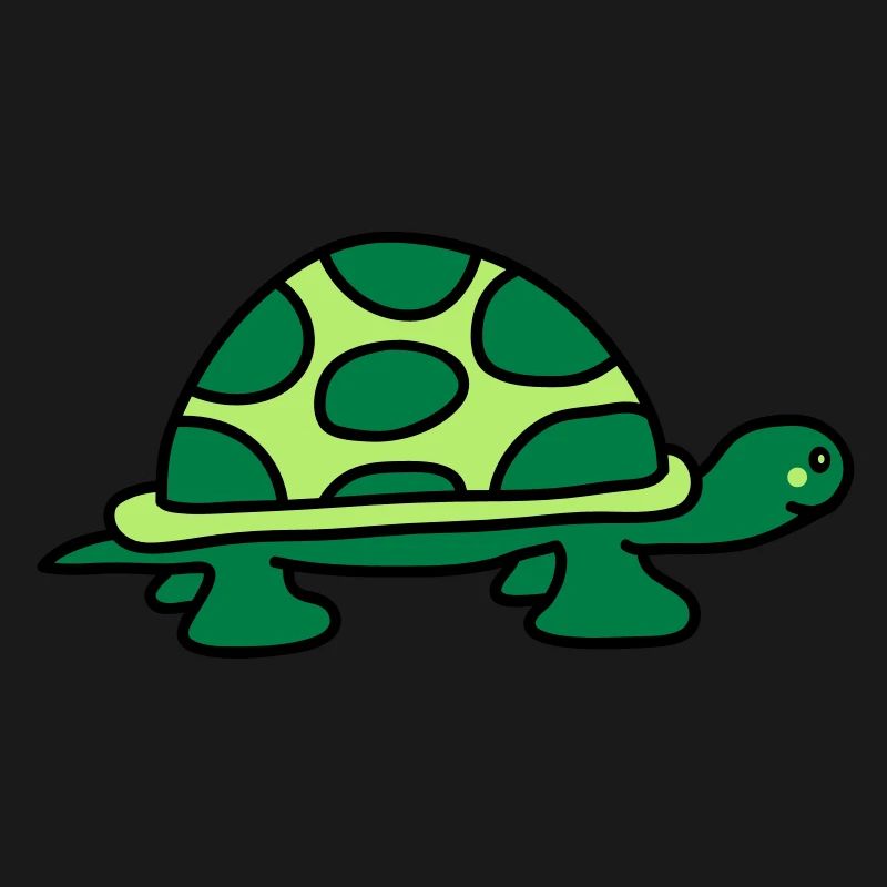turtle