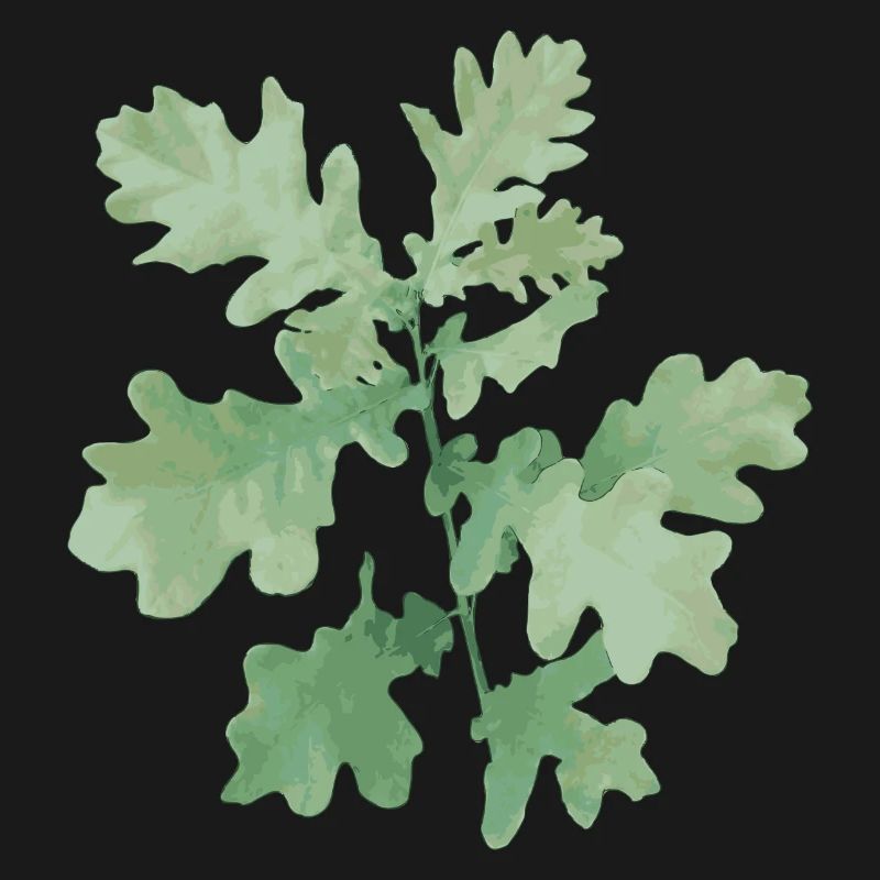 Bright Oak - Chêne clair