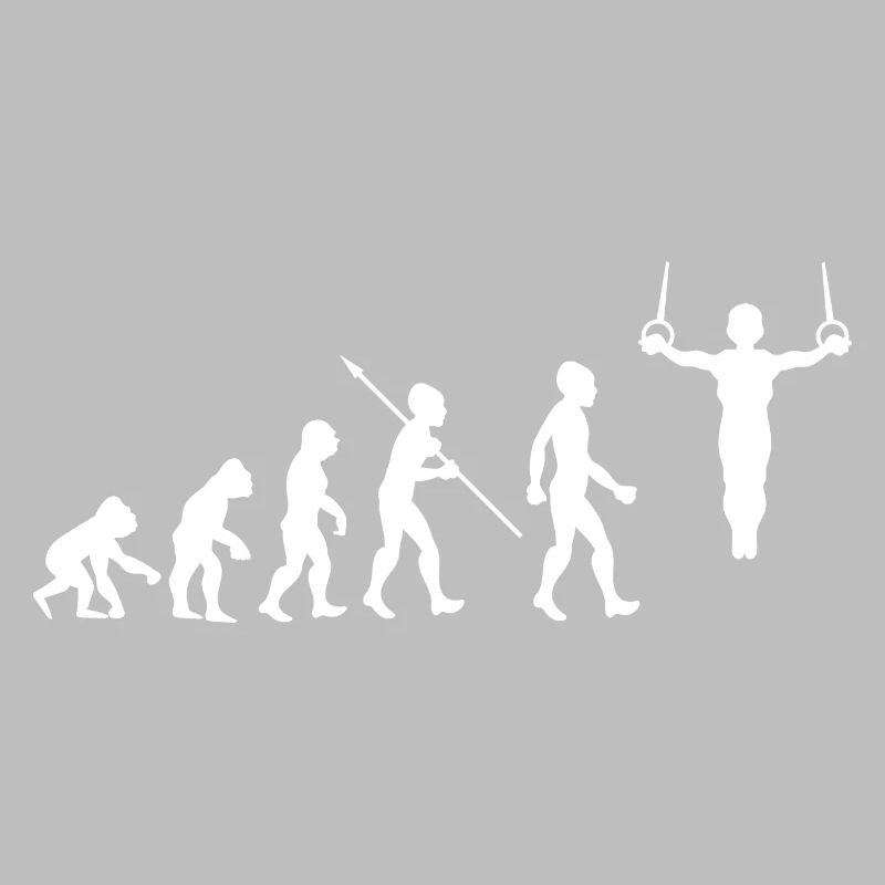 Evolution Gymnastics Gymnastics Acrobatics Gymnastics