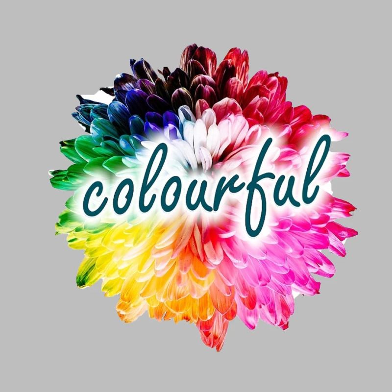 Regenbogenblume Farbexplosion