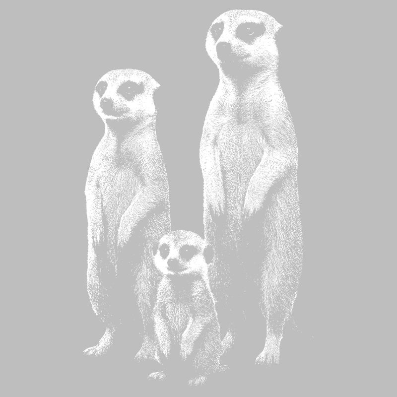 Erdmännchen hell