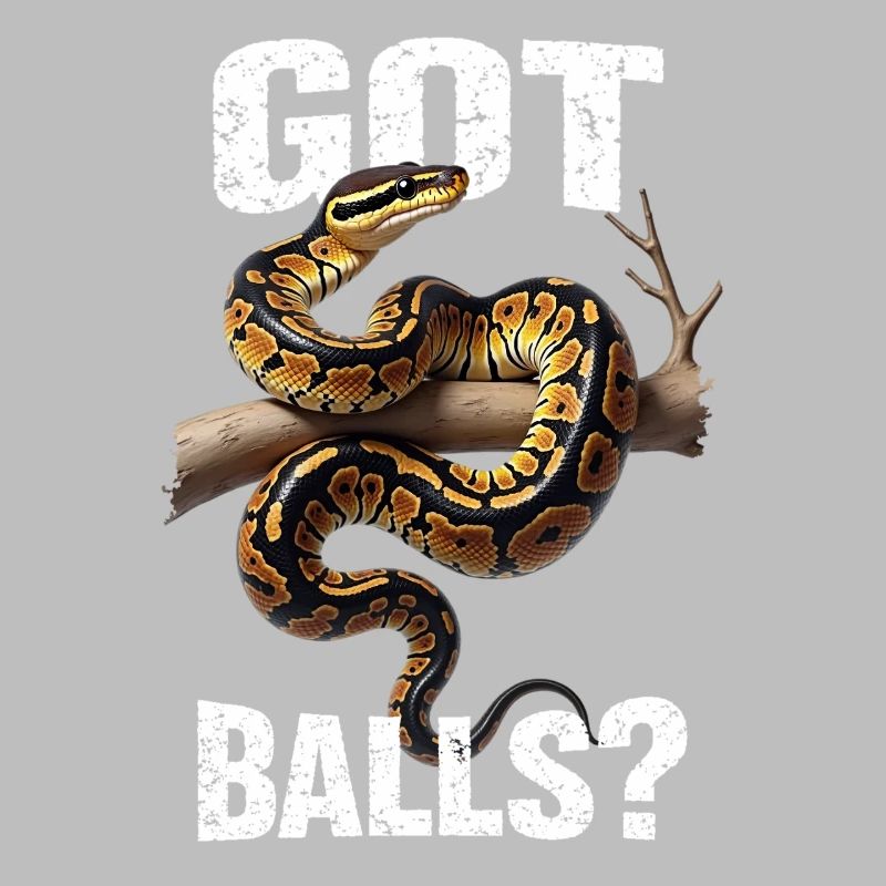 Python roi Serpents Amateurs de terrarium Python