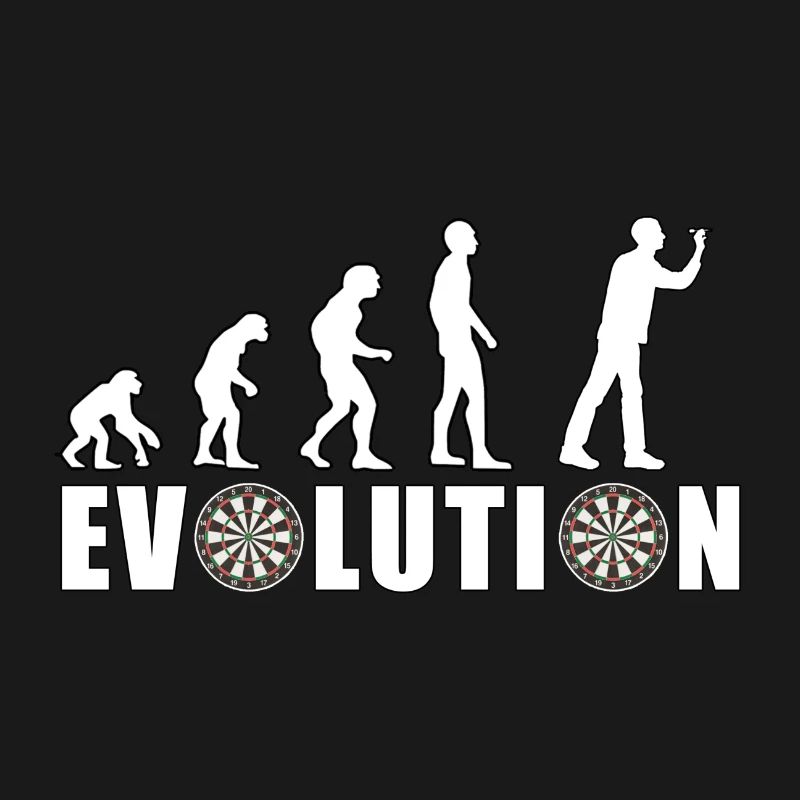 EVOLUTION DARTS Game Arrow Dartboard Gift
