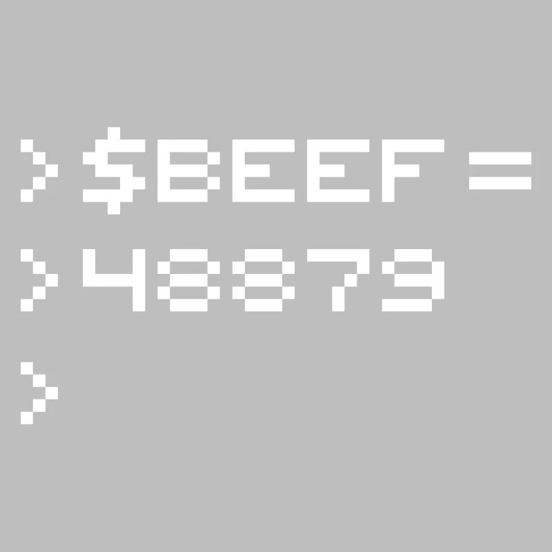 BEEF 8-bit Code Nerd Pixel Terminal Rétro