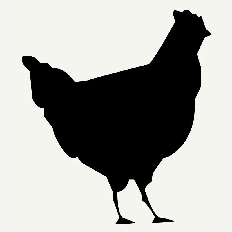 coq les poule poulet