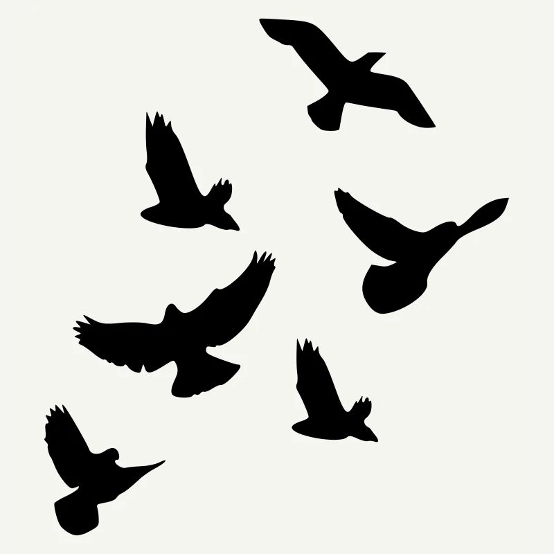 Oiseaux